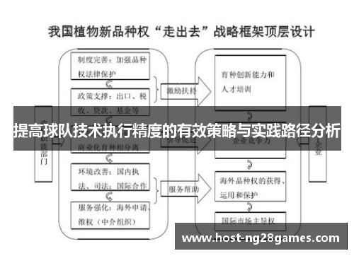 提高球队技术执行精度的有效策略与实践路径分析