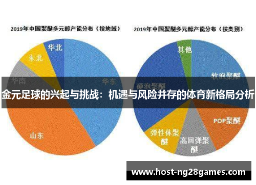金元足球的兴起与挑战：机遇与风险并存的体育新格局分析